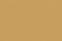 Aztec-Gold2